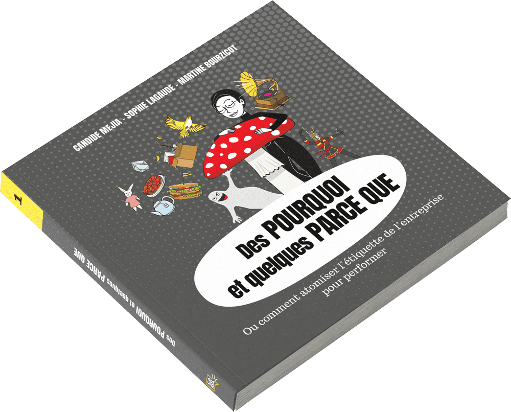 Couverture du livre Des Pourquoi et quelques Parce que