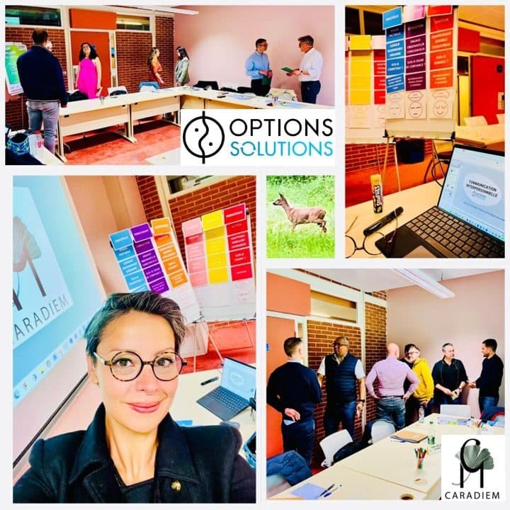 Programme Options Solutions