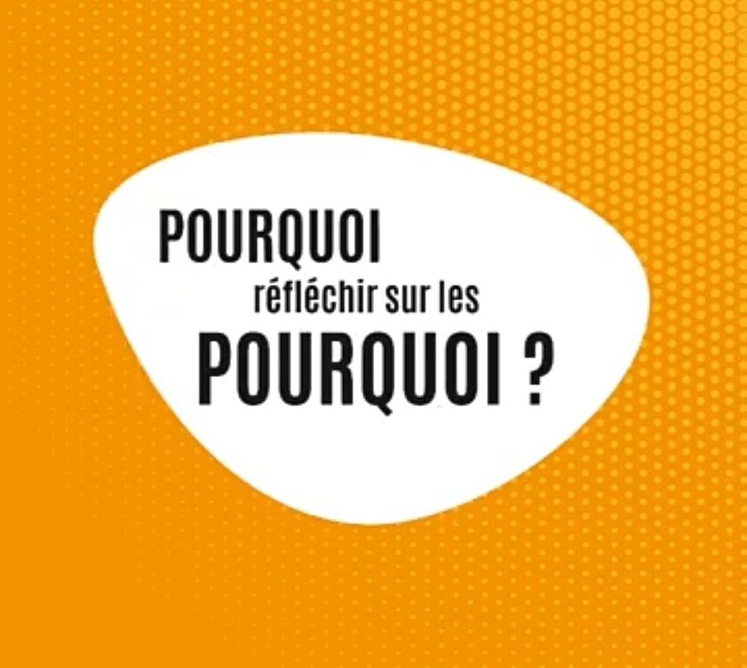 Pourquoi réfléchir sur les Pourquoi?